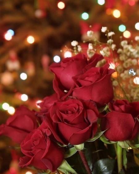 a nice flower i give it in my best friend .....